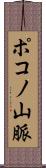 ポコノ山脈 Scroll