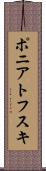 ポニアトフスキ Scroll