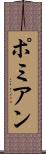 ポミアン Scroll