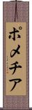 ポメチア Scroll