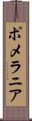 ポメラニア Scroll