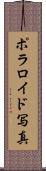 ポラロイド写真 Scroll