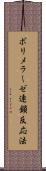 ポリメラーゼ連鎖反応法 Scroll