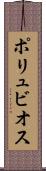 ポリュビオス Scroll