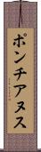 ポンチアヌス Scroll