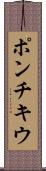 ポンチキウ Scroll