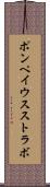 ポンペイウスストラボ Scroll