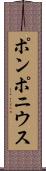 ポンポニウス Scroll