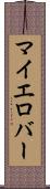 マイエロバー Scroll
