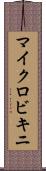 マイクロビキニ Scroll