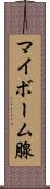 マイボーム腺 Scroll