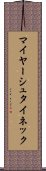 マイヤーシュタイネック Scroll