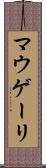 マウゲーリ Scroll