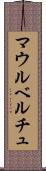 マウルベルチュ Scroll