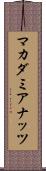 マカダミアナッツ Scroll