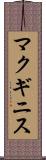 マクギニス Scroll
