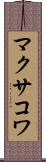 マクサコワ Scroll