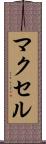 マクセル Scroll