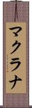 マクラナ Scroll