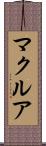 マクルア Scroll