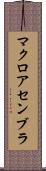 マクロ・アセンブラ Scroll