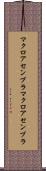 マクロアセンブラ Scroll