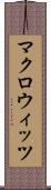 マクロウィッツ Scroll