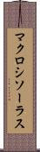 マクロシソーラス Scroll