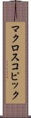 マクロスコピック Scroll