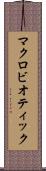 マクロビオティック Scroll