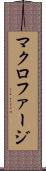 マクロファージ Scroll