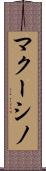 マクーシノ Scroll