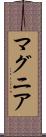 マグニア Scroll