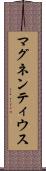 マグネンティウス Scroll