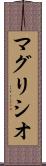 マグリシオ Scroll
