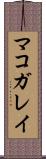 マコガレイ Scroll