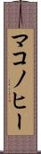 マコノヒー Scroll