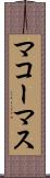 マコーマス Scroll