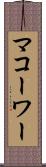マコーワー Scroll
