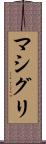 マシグリ Scroll