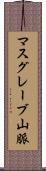 マスグレーブ山脈 Scroll