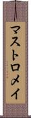 マストロメイ Scroll