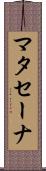 マタセーナ Scroll