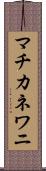 マチカネワニ Scroll