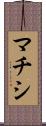 マチシ Scroll