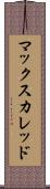 マックスカレッド Scroll
