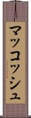 マッコッシュ Scroll