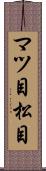 マツ目 Scroll