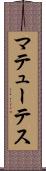 マテューテス Scroll