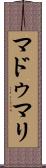 Madumali Scroll